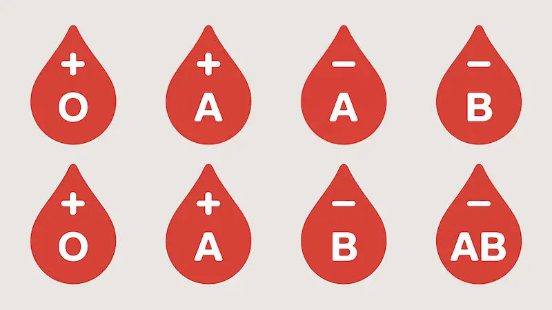 Different Types of Blood Groups Explained